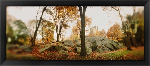 Framed Trees in a park, Central Park, Manhattan, New York City, New York State, USA Print