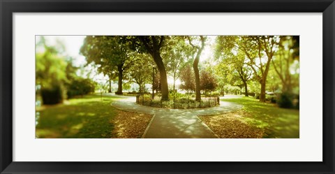 Framed Trees in a park, McCarren Park, Greenpoint, Brooklyn, New York City, New York State, USA Print