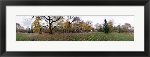 Framed Horse and carriages in a park, Central Park, Manhattan, New York City, New York State, USA Print