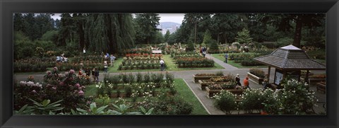 Framed Tourists in a rose garden, International Rose Test Garden, Washington Park, Portland, Multnomah County, Oregon, USA Print