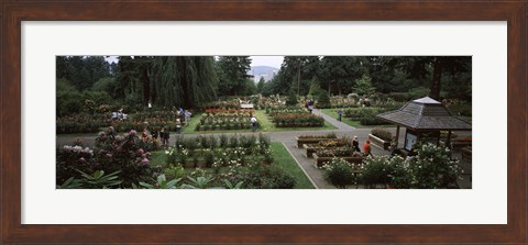 Framed Tourists in a rose garden, International Rose Test Garden, Washington Park, Portland, Multnomah County, Oregon, USA Print