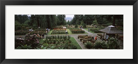 Framed Tourists in a rose garden, International Rose Test Garden, Washington Park, Portland, Multnomah County, Oregon, USA Print