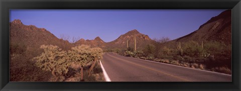 Framed Road Through Saguaro National Park, Arizona Print