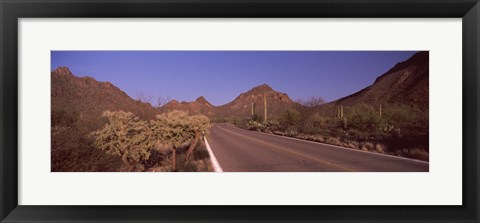 Framed Road Through Saguaro National Park, Arizona Print