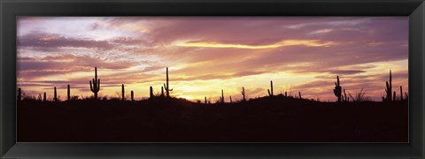 Framed Purple and Orange Sky Over Saguaro Nataional Park, Arizona Print