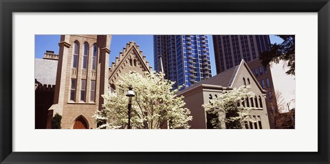 Framed Trees in front of a building, Charlotte, Mecklenburg County, North Carolina, USA Print