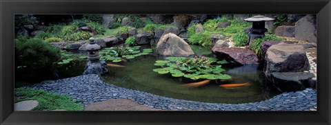 Framed Japanese Garden, University of California, Los Angeles Print