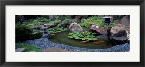 Framed Japanese Garden, University of California, Los Angeles Print