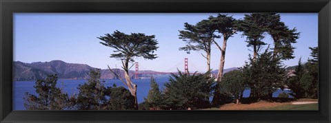 Framed Suspension bridge across a bay, Golden Gate Bridge, San Francisco Bay, San Francisco, California, USA Print