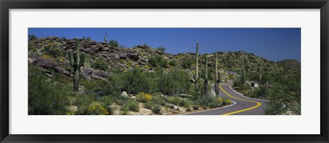 Framed Road Through The Desert, Phoenix, Arizona, USA Print