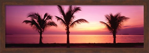 Framed Miami Beach, Florida, USA Print