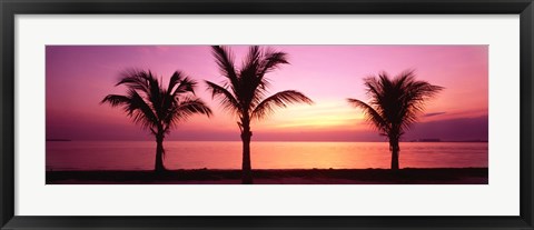 Framed Miami Beach, Florida, USA Print