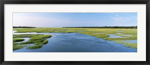 Framed Sea grass in the sea, Atlantic Coast, Jacksonville, Florida, USA Print