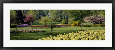 Framed Sherwood Gardens, Baltimore, Maryland Print