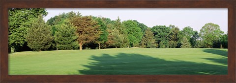 Framed Trees on a golf course, Woodholme Country Club, Baltimore, Maryland, USA Print