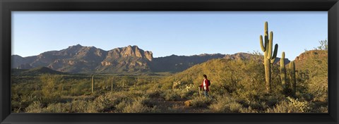 Framed Hiker standing on a hill, Phoenix, Arizona, USA Print