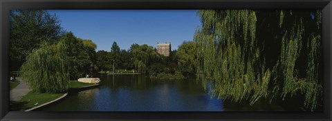 Framed Boston Public Garden, Boston, Massachusetts Print