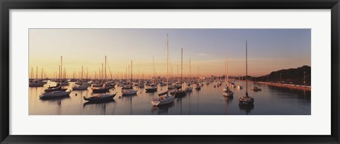 Framed Sunset &amp; harbor Chicago IL USA Print