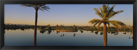 Framed Palm trees at the lakeside, Phoenix, Maricopa County, Arizona, USA Print