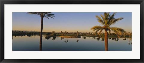 Framed Palm trees at the lakeside, Phoenix, Maricopa County, Arizona, USA Print