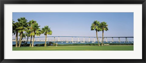 Framed Palm trees on the coast with bridge in the background, Coronado Bay Bridge, San Diego, San Diego County, California, USA Print