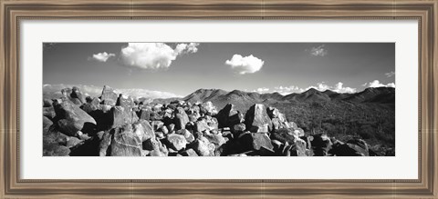 Framed Boulders on a landscape, Saguaro National Park, Tucson, Pima County, Arizona, USA Print