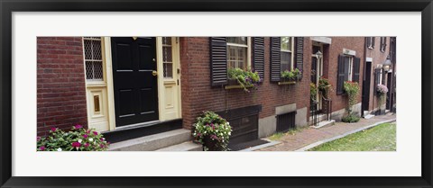 Framed Potted plants outside a house, Acorn Street, Beacon Hill, Boston, Massachusetts, USA Print