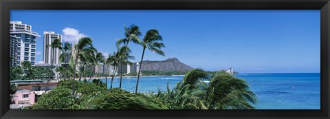 Framed Palm Trees On The Beach, Waikiki Beach, Honolulu, Oahu, Hawaii, USA Print