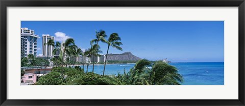 Framed Palm Trees On The Beach, Waikiki Beach, Honolulu, Oahu, Hawaii, USA Print