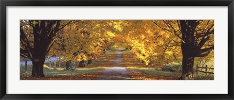 Framed Road, Baltimore County, Maryland, USA Print