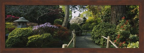 Framed Plants in a garden, Japanese Tea Garden, San Francisco, California, USA Print