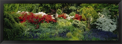 Framed High Angle View Of Flowers In A Garden, Baltimore, Maryland, USA Print