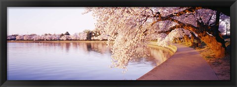 Framed Tidal Basin, Washington DC, District Of Columbia, USA Print