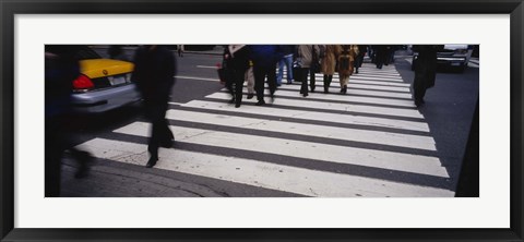 Framed Group of people crossing at a zebra crossing, New York City, New York State, USA Print