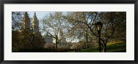 Framed Park In Front Of A Building, Central Park, NYC, New York City, New York State, USA Print