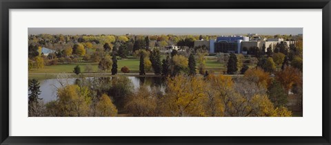 Framed High angle view of trees, Denver, Colorado, USA Print