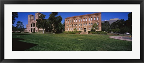 Framed Lawn in front of a Royce Hall and Haines Hall, University of California, City of Los Angeles, California, USA Print