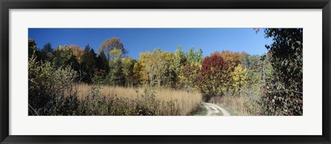 Framed Dirt road passing through a forest, University of Wisconsin Arboretum, Madison, Dane County, Wisconsin, USA Print