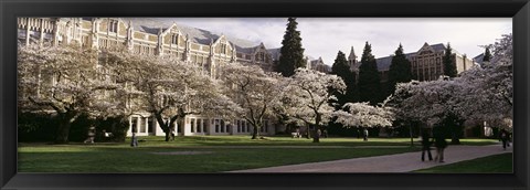 Framed University of Washington, Seattle, King County, Washington State Print