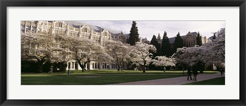 Framed University of Washington, Seattle, King County, Washington State Print