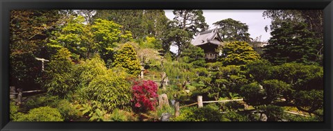 Framed Cottage in a park, Japanese Tea Garden, Golden Gate Park, San Francisco, California, USA Print