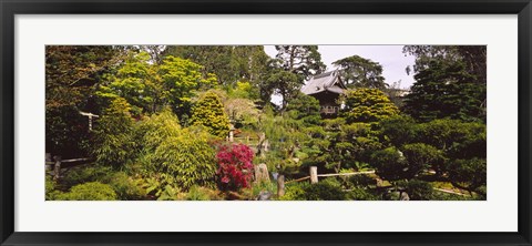 Framed Cottage in a park, Japanese Tea Garden, Golden Gate Park, San Francisco, California, USA Print