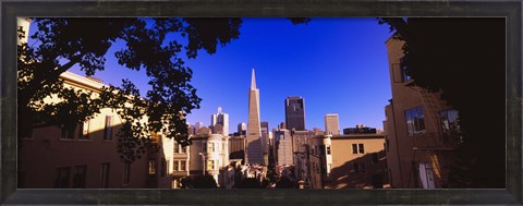 Framed Buildings in a city, Telegraph Hill, Transamerica Pyramid, San Francisco, California, USA Print