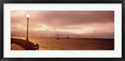 Framed Sailboats in the sea, San Francisco Bay, Golden Gate Bridge, San Francisco, California, USA Print