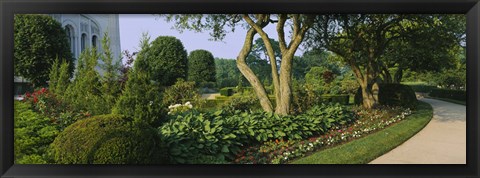 Framed Plants in a garden, Bahai Temple Gardens, Wilmette, New Trier Township, Chicago, Cook County, Illinois, USA Print