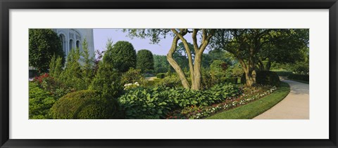 Framed Plants in a garden, Bahai Temple Gardens, Wilmette, New Trier Township, Chicago, Cook County, Illinois, USA Print