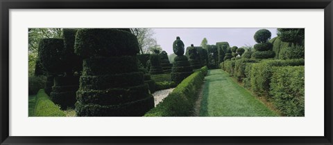 Framed Sculptures formed from trees and plants in a garden, Ladew Topiary Gardens, Monkton, Baltimore County, Maryland, USA Print