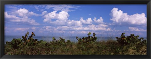 Framed Tampa Bay, Gulf Of Mexico, Anna Maria Island, Florida Print