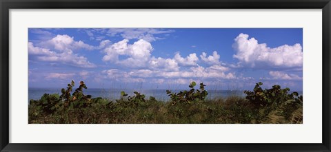 Framed Tampa Bay, Gulf Of Mexico, Anna Maria Island, Florida Print