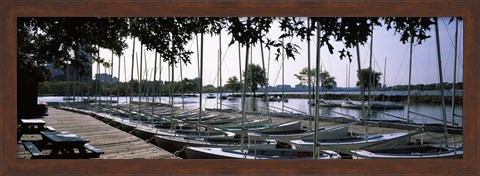 Framed Boats moored at a dock, Charles River, Boston, Suffolk County, Massachusetts, USA Print